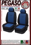 pegaso04
