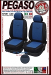 pegaso05