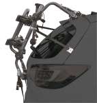 pureinstinct2bici19