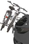 pureinstinct2bici29