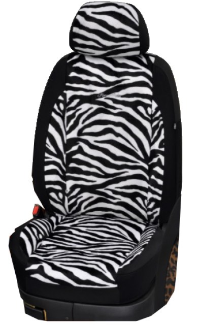 safarizebra