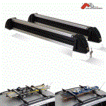 whitebear41
